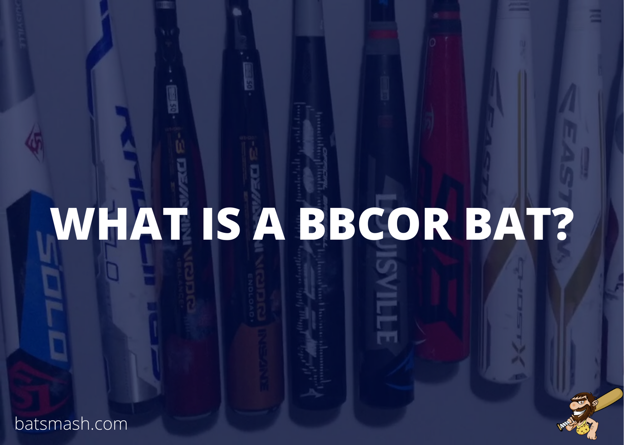 A Partial Viewpoint of Ultimate Baseball Bat Guide